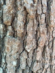 texture