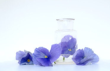 Obraz na płótnie Canvas Blue violets with old antique glass pot