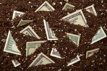 image of money ground background 