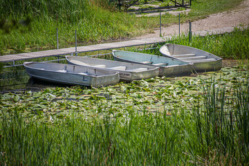 Row boats ties to a dock among lily pads 