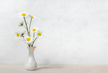 chamomile in vase on white background. flowers for grandmother's birthday, for women's day, flowers in a white interior