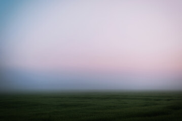 foggy morning in the clearing, minimalism