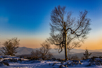 winter evening at the top of the Elbe sandstones