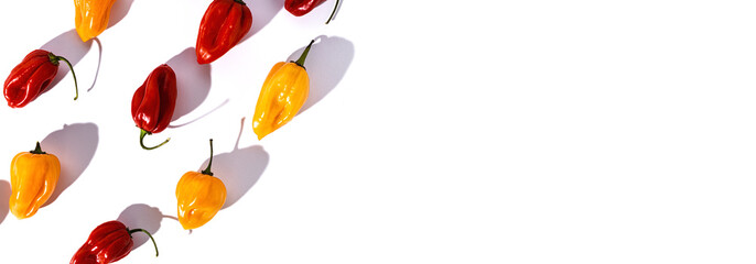 Habaneros peppers and hot chili peppers on colorful backgrounds