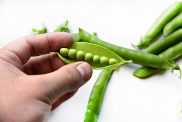 Green fresh peas in hand on a white background. An open string of fresh peas.