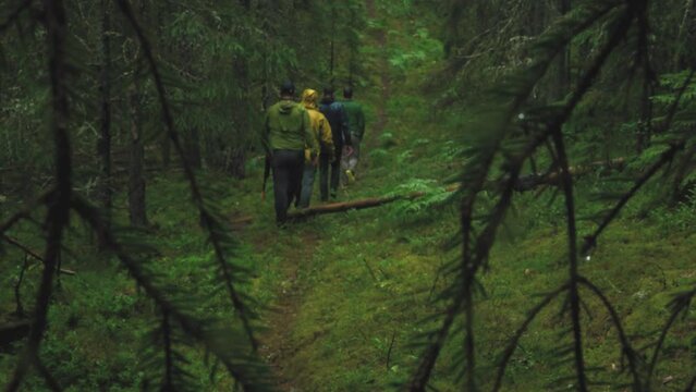 Men walk through the forest in rainy weather. People are looking for the missing child in the forest