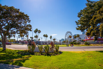 a gorgeous summer day in the city with colorful flowers and lush green palm trees and grass with a Ferris wheel and skyscrapers in the skyline with blue sky at Rainbow Lagoon in Long Beach California 