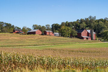 Fototapeta na wymiar Farm buildings surrounded by woods on a hill across a field in Amish country, Ohio