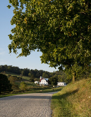 Country road through the trees and fields of Holmes County, Ohio with an Amish farm in the background