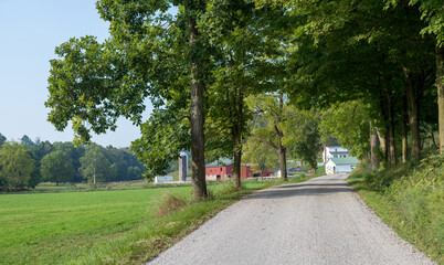 Country road through the trees leading to an Amish farm in Holmes County, Ohio