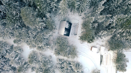 Bird's-eye view. Clip.View of the snowy forests with large snowdrifts and large tall fir trees and various trees.