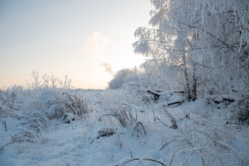 Winter landscape with snowy trees
