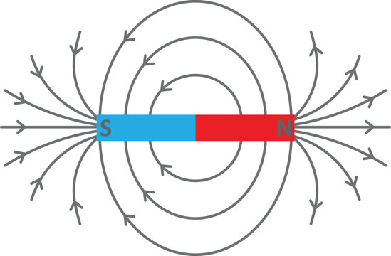 Isolated Vector Illustration Of The Magnetic Field Lines Of A Magnet. 