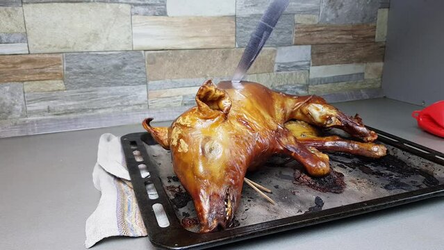 the cook cuts into pieces a pig baked in the oven. portioned distribution of a beautiful pork dish to the table. suckling pig
