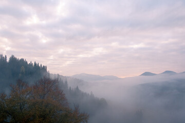 Misty morning in the Carpathian mountains in autumn. White fog over the dreamy mountain range, covered with green forest