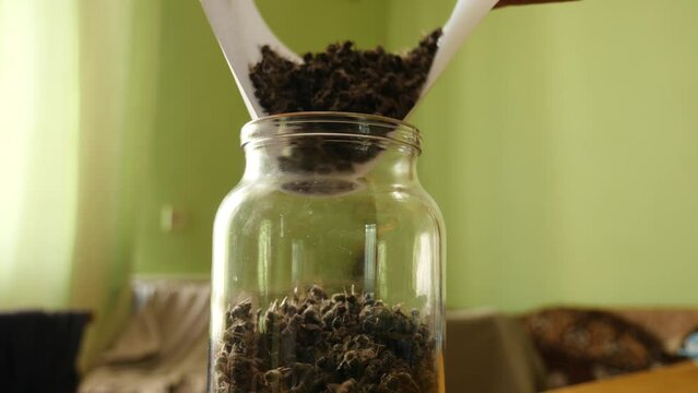 Bee excrement (the bodies of dead honey bees) is collected and poured into a jar for medicinal use. Use of beekeeping products for medicinal purposes.