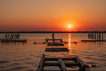 Fototapeta premium Beautiful red and orange sunset over the sea. The sun goes down over the sea. A flock of cormorants sits on a old sea pier in orange sunset light