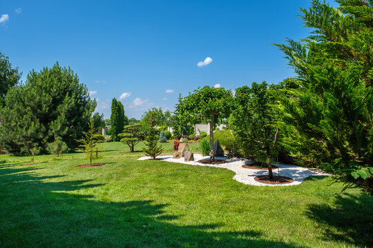 Beautifully trimmed trees and bushes on the lawn in the yard against blue sky on a sunny day. Landscaping, high-quality photos