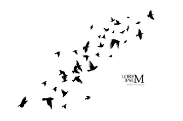 A flock of flying birds. Free birds. Vector illustration