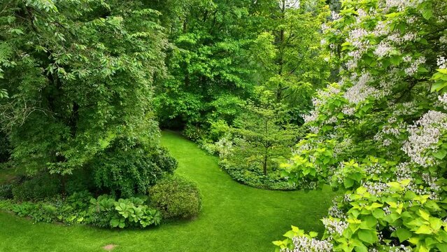 Aerial view of English garden type during summer season. Green grass and trees.