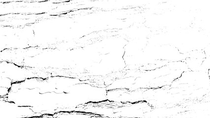 Black white texture of rugged relief fractured bark wood of aged cork oak. Old rough grunge of uneven ridged hard dry crust surface. Deep cut grooved coated layer, convex ornate textured rustic design