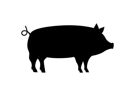 Pig black silhouette. Pork symbol. Piggy silhouette. Farm animal icon isolated on white background.