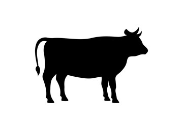 Cow black silhouette. Bull symbol. Beef silhouette. Farm animal icon isolated on white background.