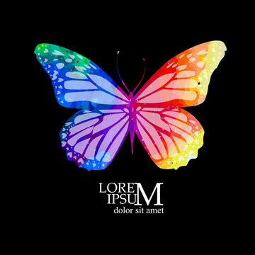 Rainbow watercolor butterfly. Multicolour logo, icon and t-shirt print. Vector illustration