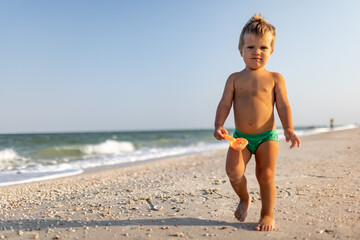 Kid collects shells and pebbles in the sea on a sandy bottom under the summer sun on a vacation