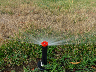 Close up of automatic sprinkler watering grass dying during drought - obrazy, fototapety, plakaty