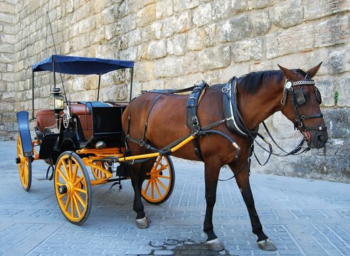 Horse And Carriage