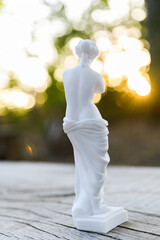 Statue of Venus outdoors. Portrait of goddess Venus with natural light. © AndyPhoton
