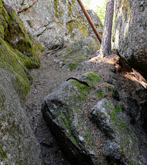 Trail through big rocks in old forest