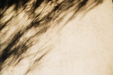Abstract silhouette of the shadow of natural leaves of a tree branch on a gray concrete wall. Atmospheric photo on a sunny summer day.
