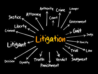 Litigation mind map, law concept for presentations and reports