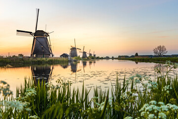 Dutch landscape, windmills at Kinderdijk village, a famous authentic attraction in the Netherlands.