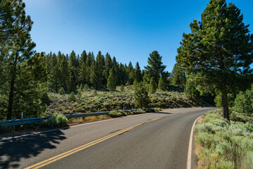 Bend in the Wilderness Road California - 520890361