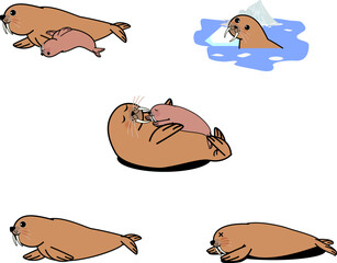 かわいいセイウチセット2 © foolchico