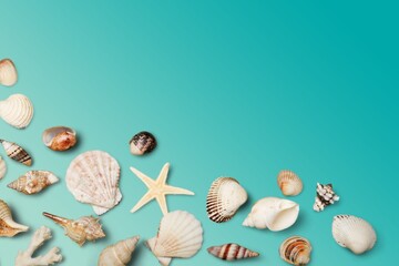 Summer time concept composition with beautiful starfish and sea shells on colored table