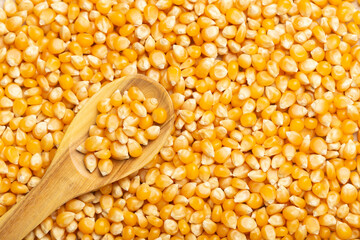 corn kernels for popcorn, in the wooden spoon