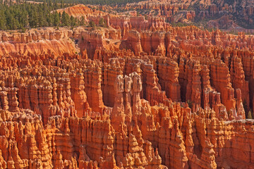 A Forest of Hoodoo in a Valley