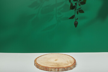 blank green background with light shadow nature for natural cosmetic product. Empty scene with green leaves.Organic natural and Beauty skincare concept.