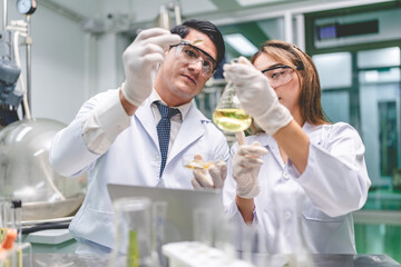 chemical medicine scientist working research for CBD oil from organic cannabis hemp plant in medical science laboratory, test a ganja nature herb to make a alternative herbal extract drug for health