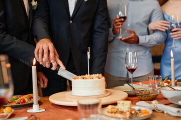 Closeup of gay couple cutting cake together during wedding reception, same sex marriage, copy space