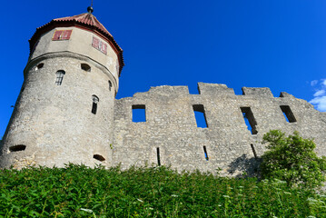Obraz premium Burg Honberg, Ruine einer Gipfelburg in Tuttlingen, Baden-Württemberg 