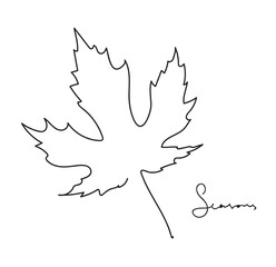 Maple leaf. Line art design drawing abstract tropic spring . Nature eco concept. Single continuous line draw graphic vector illustration