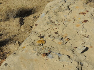 Rock in ancient city