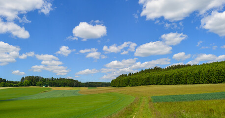 Obraz premium Nusplingen im Zollernalbkreis in Baden-Württemberg