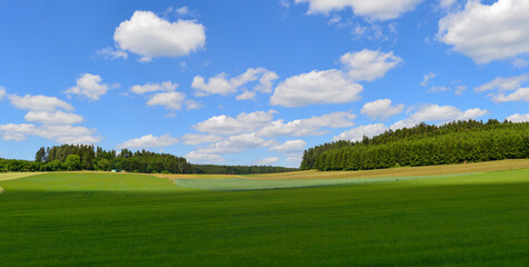 Nusplingen im Zollernalbkreis in Baden-Württemberg