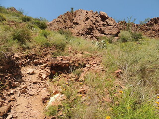 red rock canyon